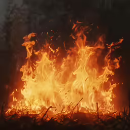 there is an image of flames that are being observed