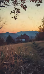 view from a grassy field towards a small house