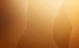 the top half of a piece of sand in a brown field