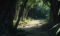 a dirt path with trees surrounding and person walking along