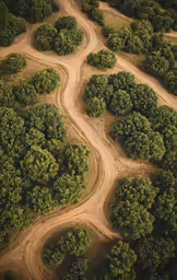 an aerial view of a dirt road surrounded by trees
