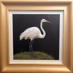 a painting of a white crane is in a frame