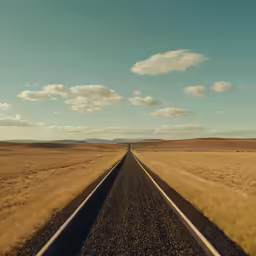 there is a lone person on the long road