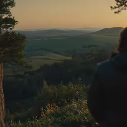 a person looking at some trees in the distance