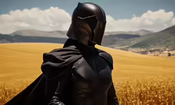 a woman in a black leather outfit stands on a wheatfield