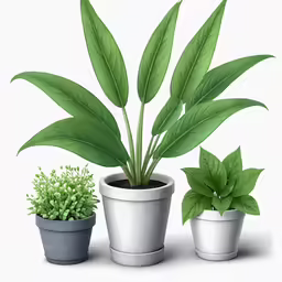 a bunch of potted plants next to each other