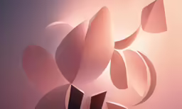 the image is very artistic and very pretty