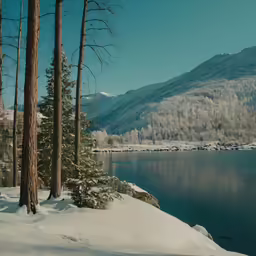 a snowy lake with trees covered in snow
