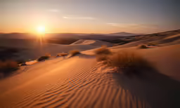 a photo of the sun going down over sand dunes in the desert