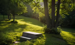 some concrete stairs are leading up to the grass