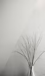 this is an image of a vase on the wall with twigs