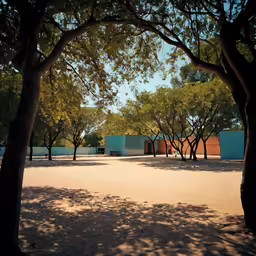 trees and a building on the other side of a dirt road