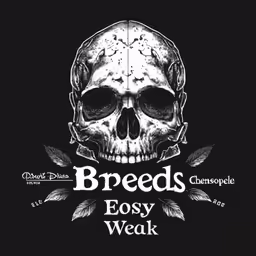 a skull with words written on it