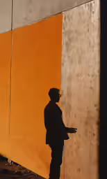 a silhouette of a man stands in front of a wall