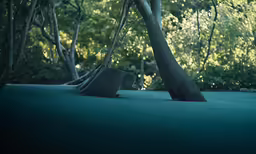 a forest with some trunks growing from it