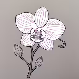 a drawing of a flower with one stem on a light grey background,there is a large pink flower on the stem