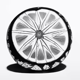 black and white photograph of a fruit slice