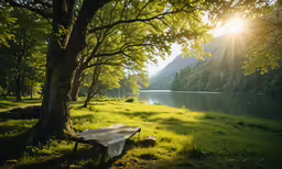 a bench is sitting in the shade of a tree by a river