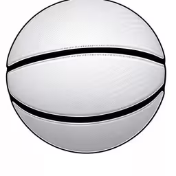 an over head view of a basketball on a white background,a basketball ball that is white and black