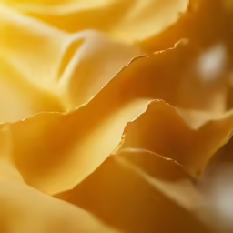 closeup of a delicious dish consisting of pasta, cream and other things
