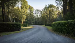 an empty dirt road in front of trees and bushes