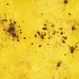 various yellow and black flies flying in the air