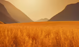 grassy hills with yellow grass in front of them
