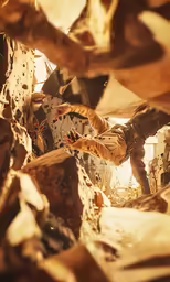 a man is walking on rocks near a building