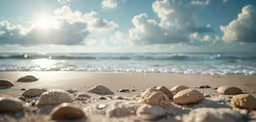 a lot of rocks are laying in the sand near water