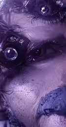 a close - up photo of the eyes and eyebrows of an evil looking male