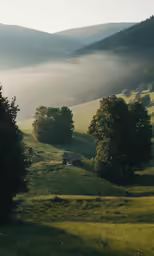 a green pasture filled with trees and clouds