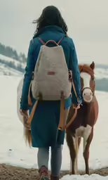 person with horse on snowy field near fence