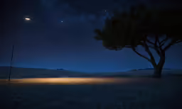 a lone tree with its light turned on, in a field with stars overhead