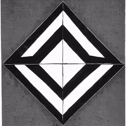 an artistic black and white geometric pattern on concrete