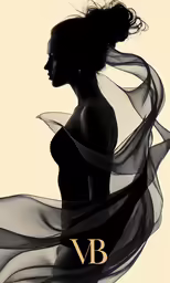 the silhouette of a woman wearing a veil