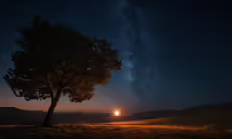 a lone tree stands beneath the night sky