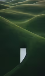 a picture of a green landscape with a white door