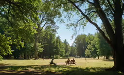 a couple sitting on a bench in a field
