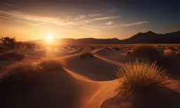 the sun sets over the desert desert landscape