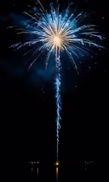 fireworks lit up the night sky with bright lights