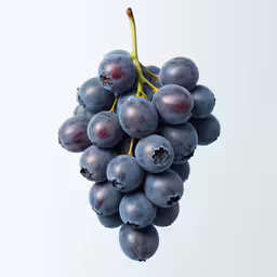 a close up of blueberries on a stick