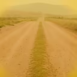 a wide dirt road with green grass on both sides