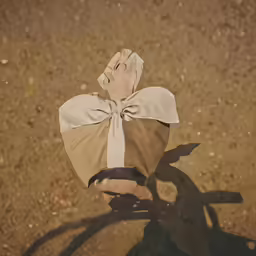 the shadow of a hand wearing a bow is cast over an umbrella