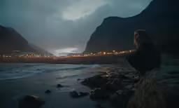 a man sitting on a rock next to a beach