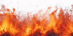 some yellow and red fire burning over grass