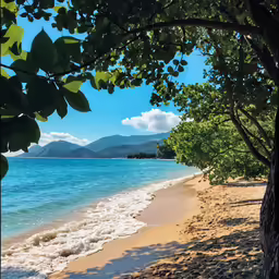 a photo of the beach in a tropical country