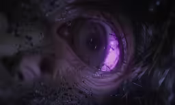 the inside view of an iris eye in the dark