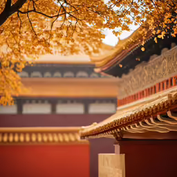 an asian styled building with a yellow tree in the foreground