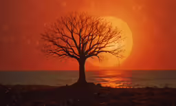 a large tree with no leaves in the middle of it