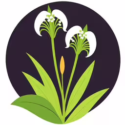 some flowers that are inside of a circle,three white flowers on top of green plants